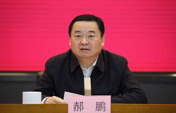 郝鵬、國資、央企、國資委、書記、主任、國企、企業(yè)改革